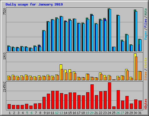 Daily usage for January 2019