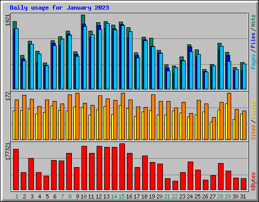 Daily usage for January 2023