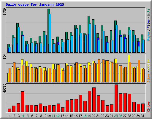 Daily usage for January 2025