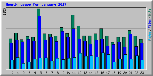 Hourly usage for January 2017