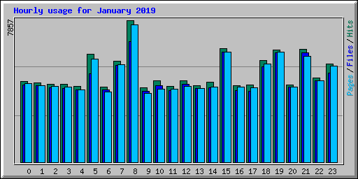 Hourly usage for January 2019