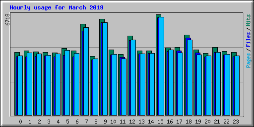 Hourly usage for March 2019