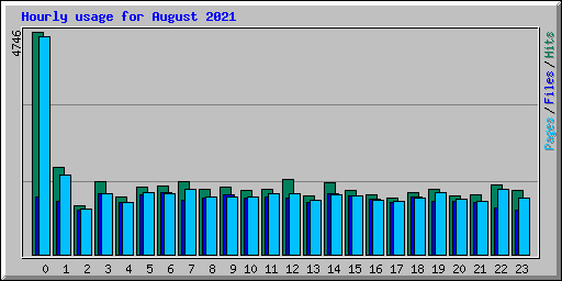 Hourly usage for August 2021