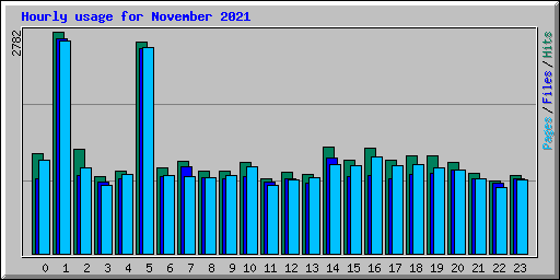 Hourly usage for November 2021