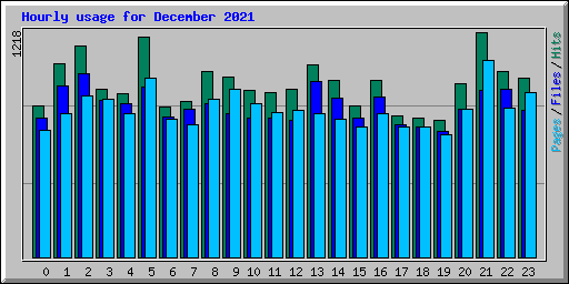 Hourly usage for December 2021