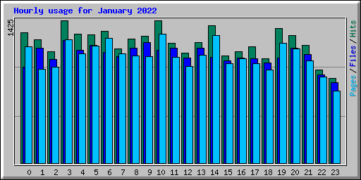 Hourly usage for January 2022