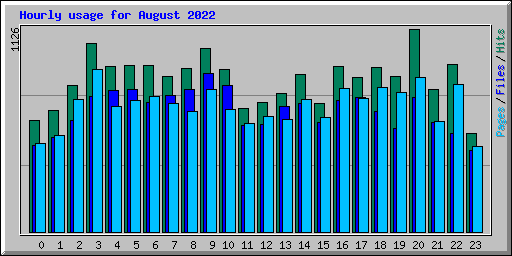 Hourly usage for August 2022