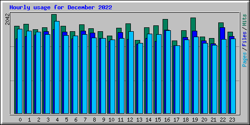 Hourly usage for December 2022