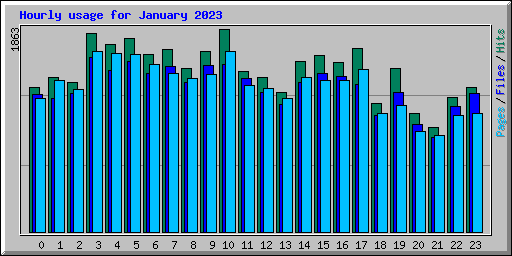 Hourly usage for January 2023