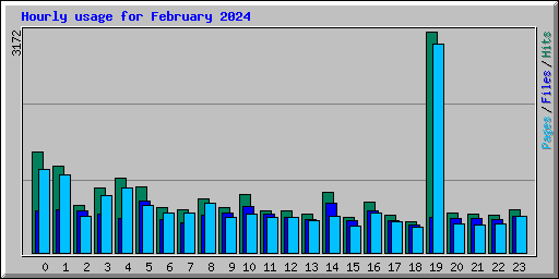 Hourly usage for February 2024