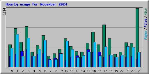 Hourly usage for November 2024