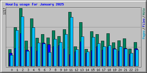 Hourly usage for January 2025