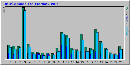 Hourly usage for February 2025