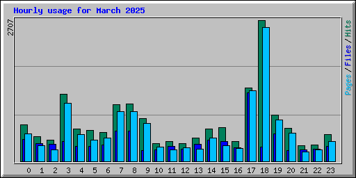 Hourly usage for March 2025