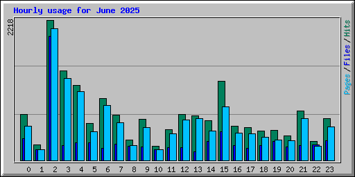 Hourly usage for June 2025