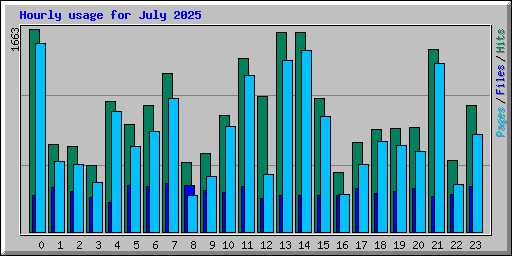 Hourly usage for July 2025