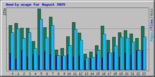 Hourly usage for August 2025