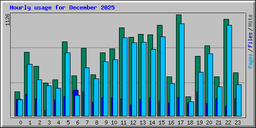 Hourly usage for December 2025